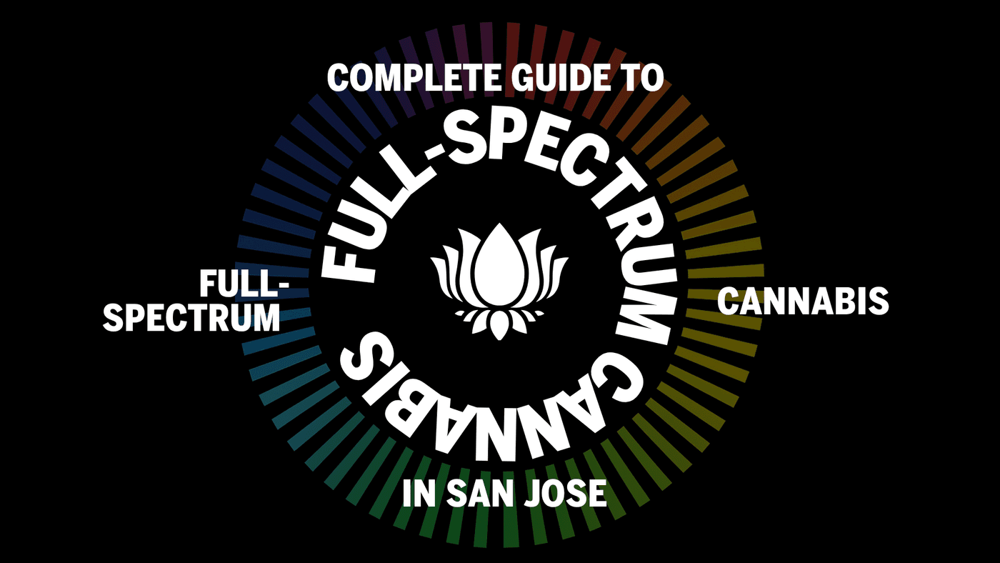 Role of Medical Dispensaries: Complete Guide for 2025