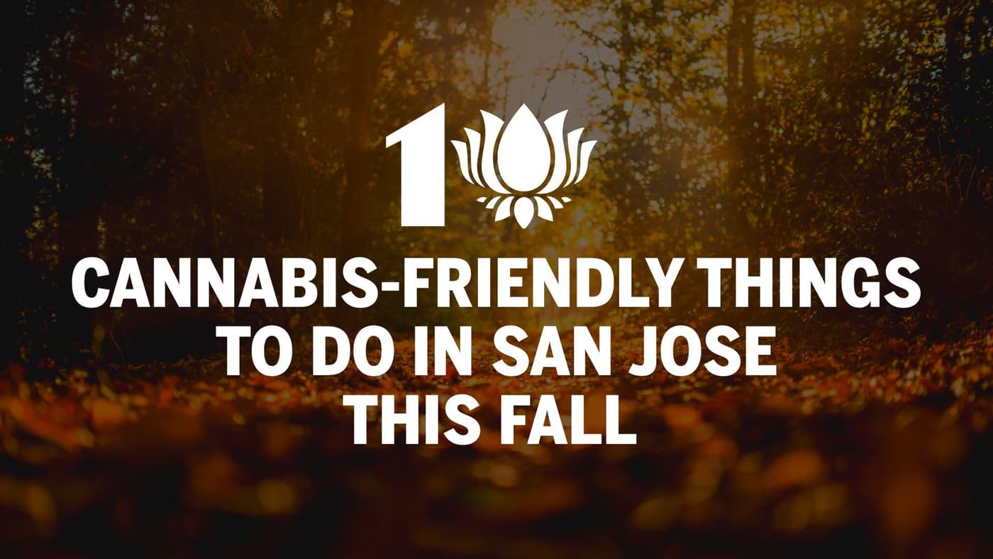 10 Cannabis-Friendly Things to Do in San Jose This Fall 🍂