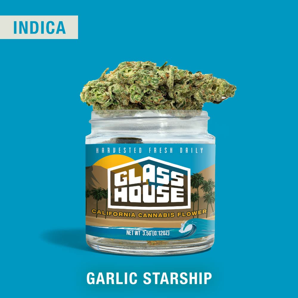 Garlic Starship