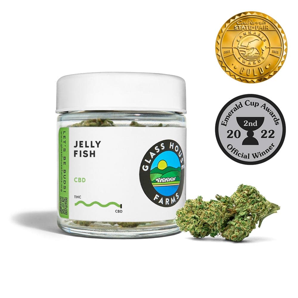Jelly Fish™