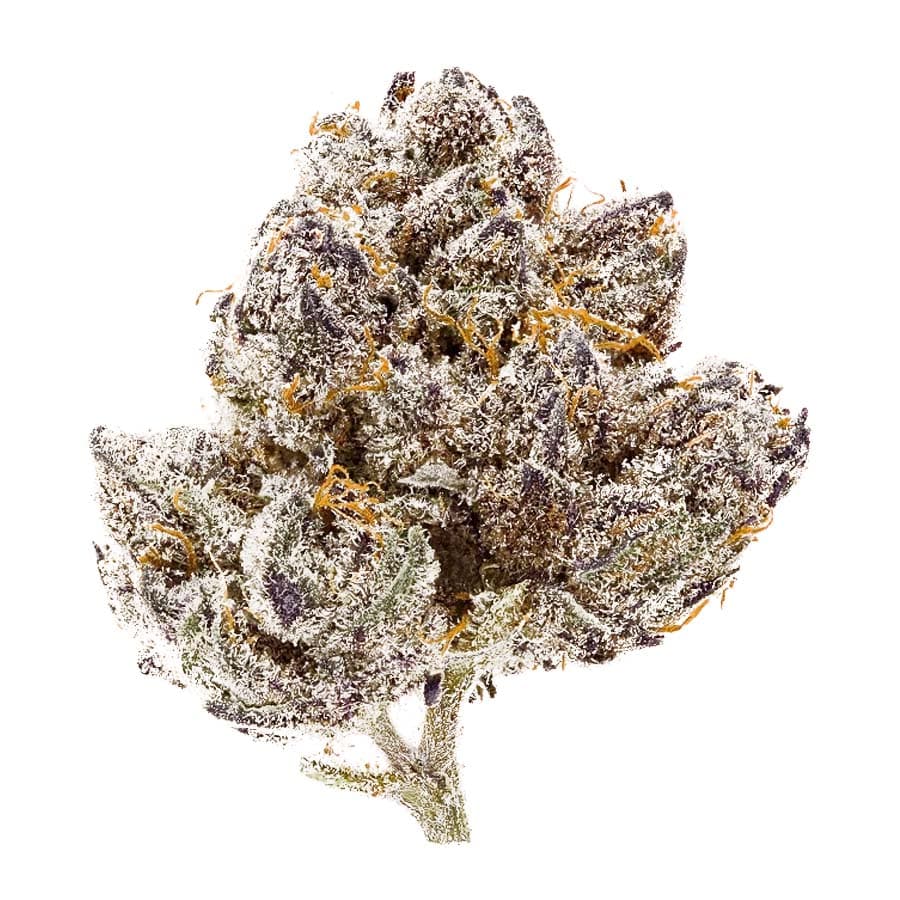 Oak-Lato | Oakfruitland | Cannabis Strain - Purple Lotus